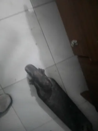 Patinete eléctrico como nuevo