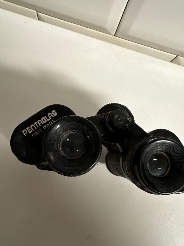 Prismáticos Pentaglas 8x30