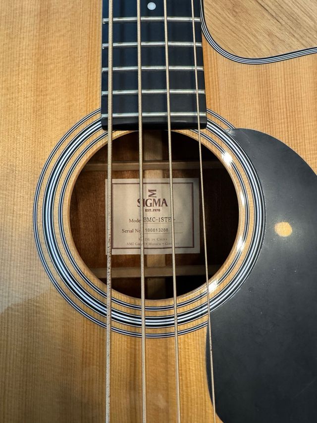 Bajo Electroacústico Sigma