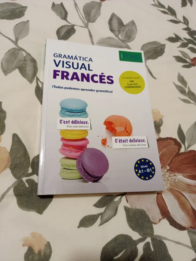 Gramática visual francés Nivel A1-B1