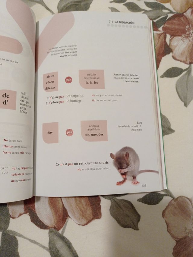 Gramática visual francés Nivel A1-B1