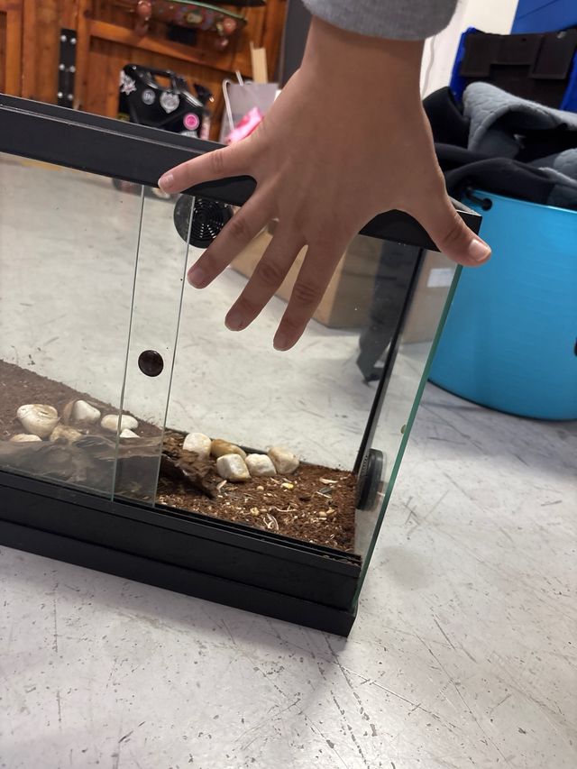 Terrario de cristal con base negra para reptiles