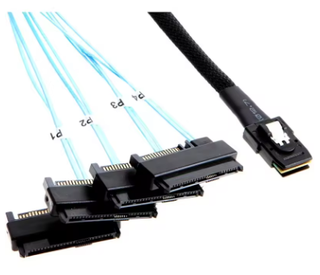 Controladora RAID SAS HBA H1110