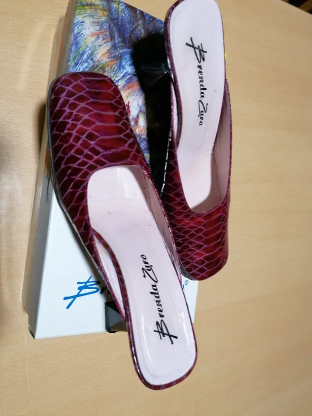 Zapatos Brenda Zaro Morado/Rojo