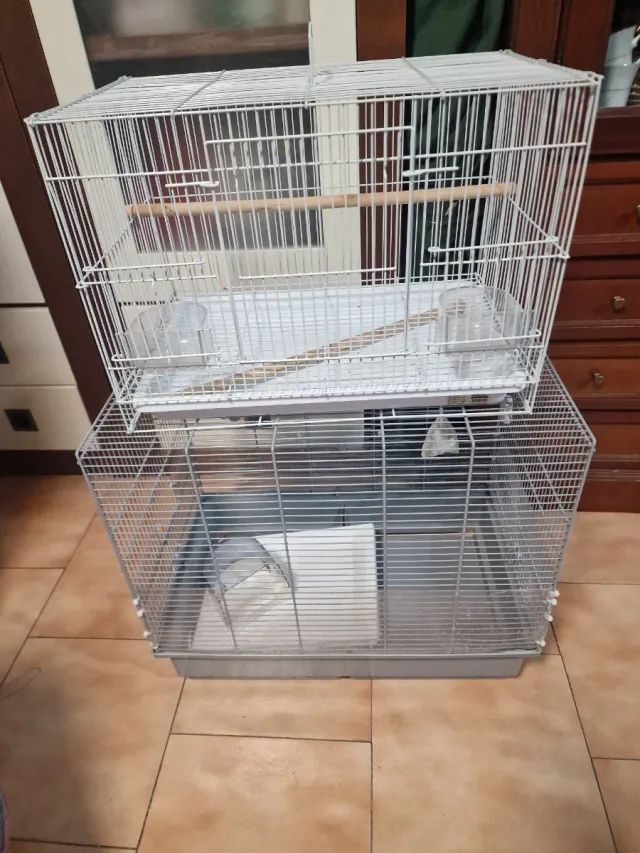 Jaulas para pájaros