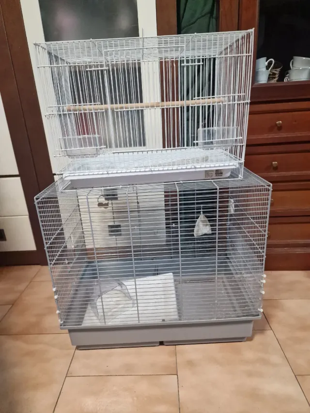 Jaulas para pájaros