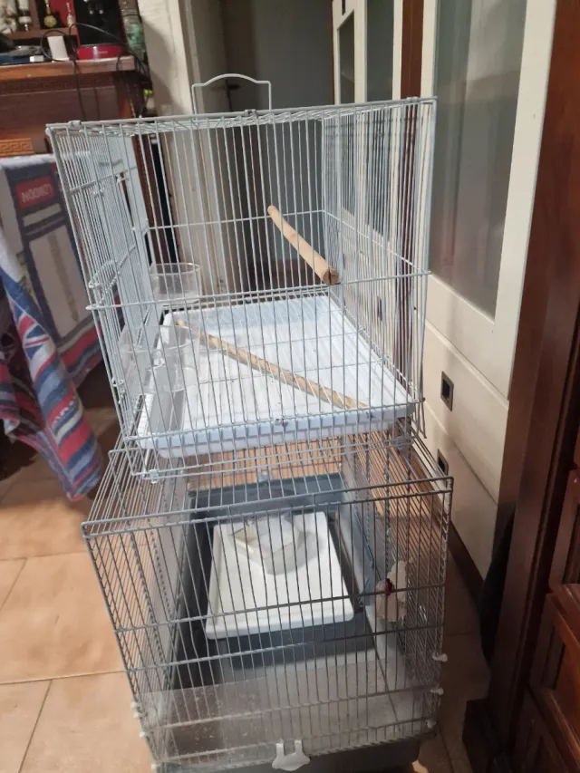 Jaulas para pájaros