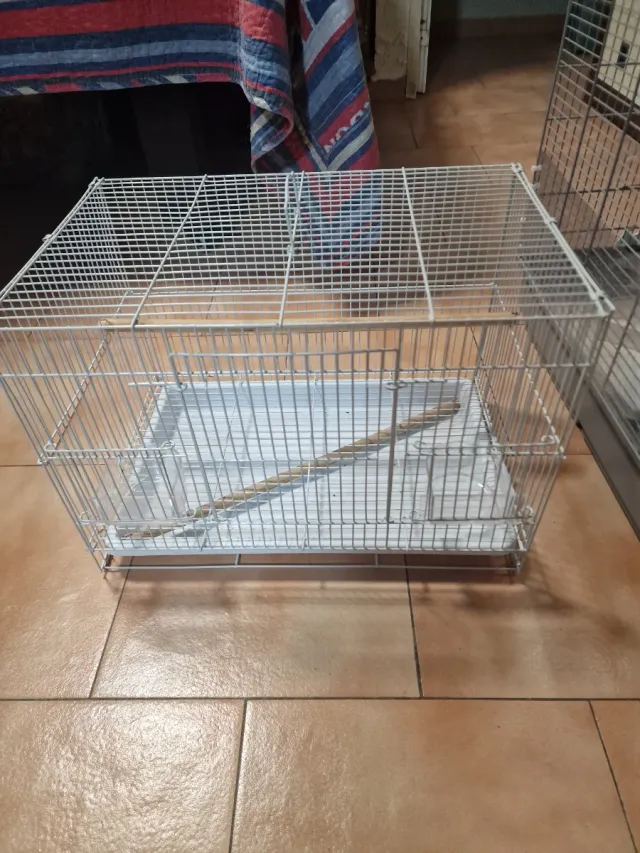 Jaulas para pájaros