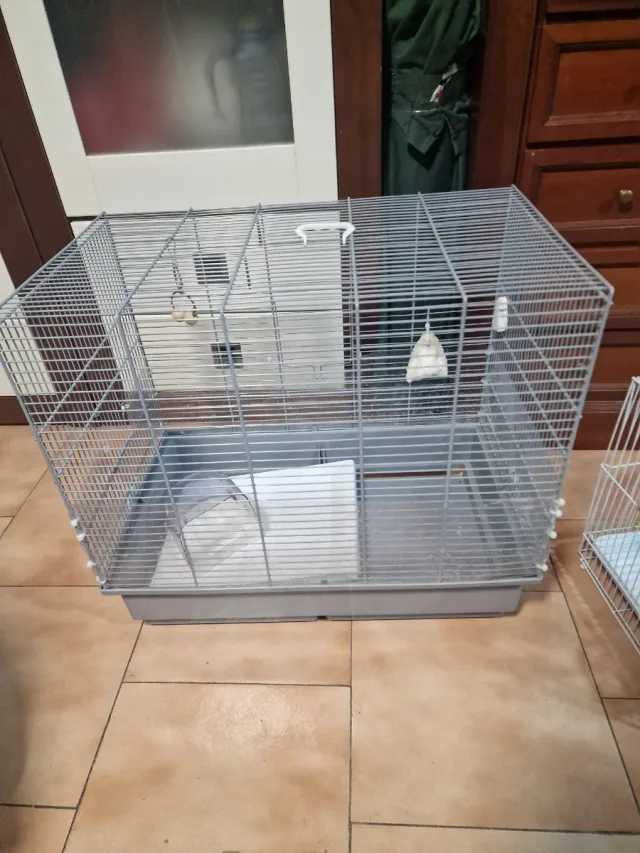 Jaulas para pájaros