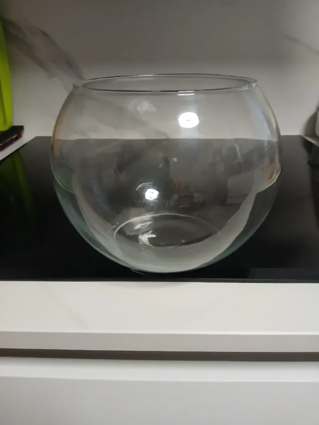 Pequeña pecera de cristal con un diseño redondeado