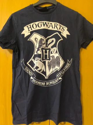 Camiseta Azul Hogwarts Harry Potter Hombre