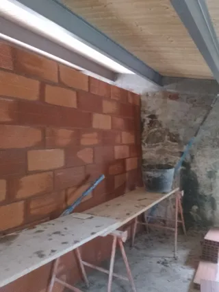 Paleta oficial de primera