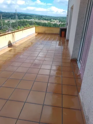 Paleta oficial de primera