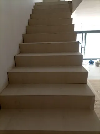 Paleta oficial de primera