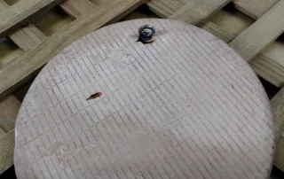 AZULEJOS DE CERÁMICA nuevos