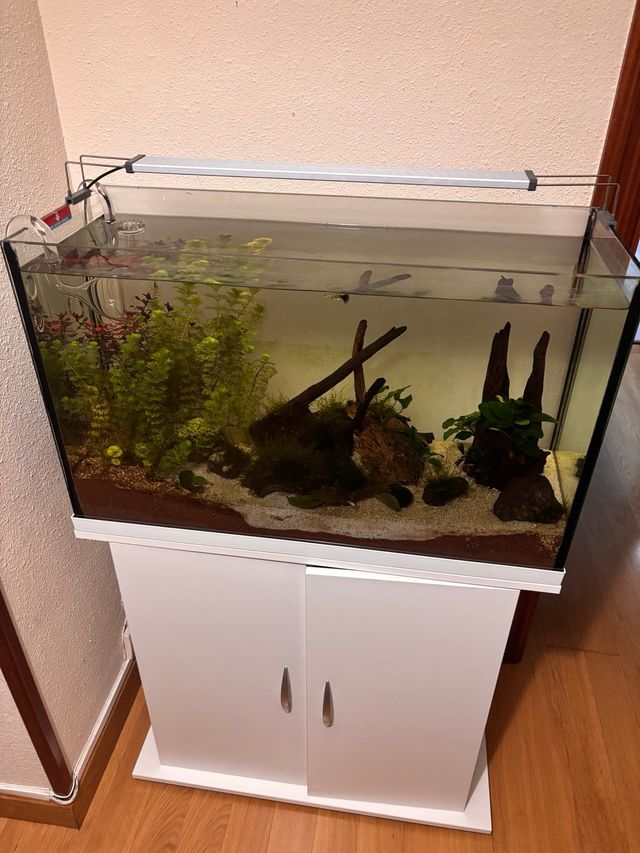 Acuario 120L con filtro y accesorios