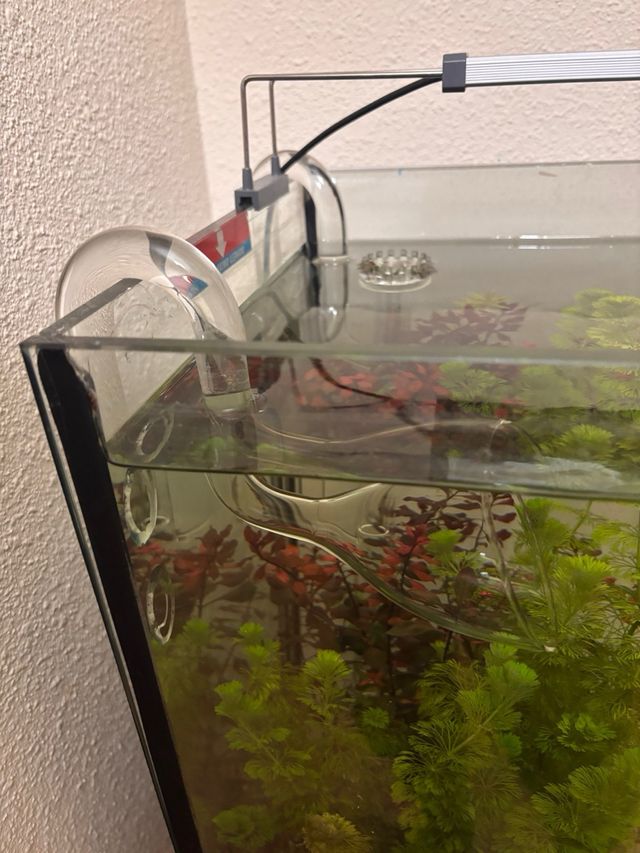 Acuario 120L con filtro y accesorios