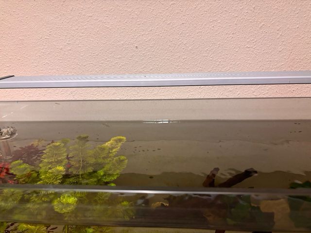 Acuario 120L con filtro y accesorios