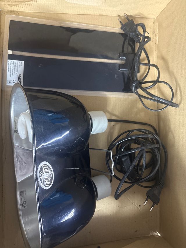 Pack terrario Zoo Med