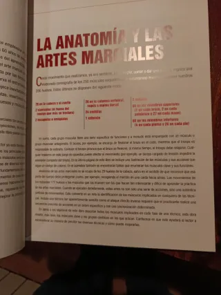 ANATOMÍA DE LAS ARTES MARCIALES (Spanish Edition)