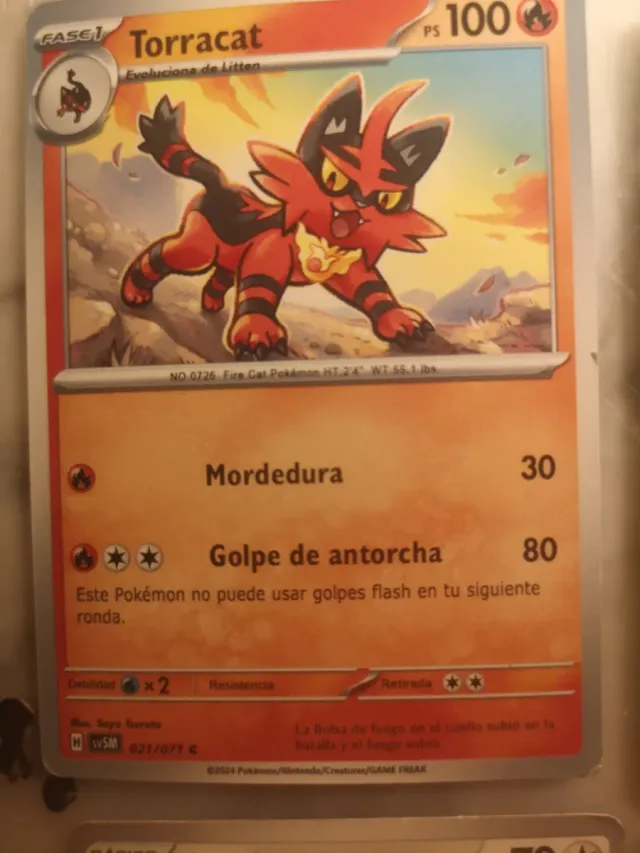 Cartas Pokémon