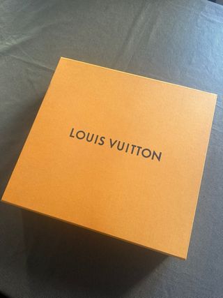 Bolso Louis Vuitton Marrón
