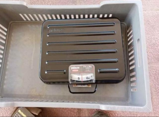 BÁSCULA MECÁNICA RUBBERMAID