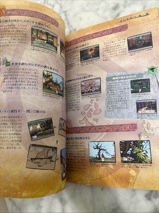 Guide Okami PS2 JP