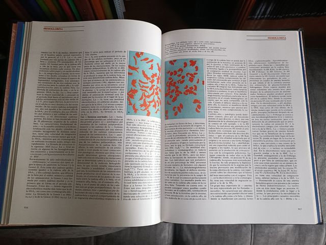 Gran Enciclopedia MÉdica