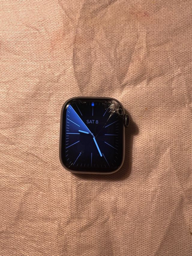 Apple Watch Series 8 Acero Inox. (Celular)