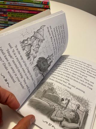 Lote: 30 libros ingles incl. My Weird School 8 ano