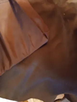 Tela y forro para falda