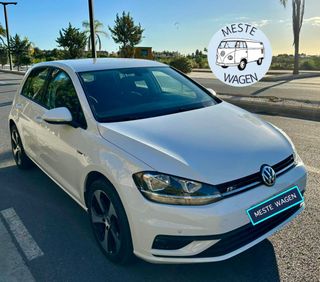 Volkswagen Golf Last Edition 1.6 TDI 115CV 2020
