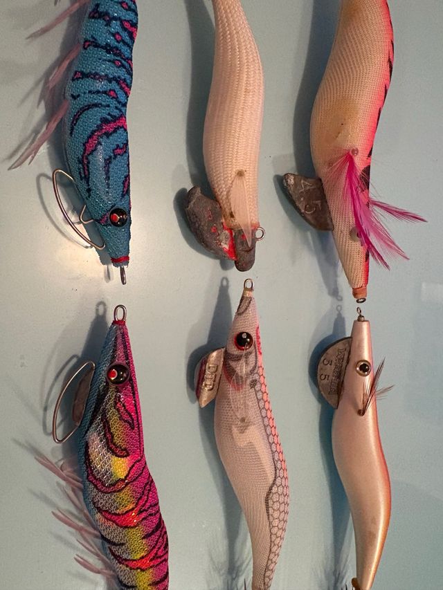 Lote 6 jibioneras Eggis para calamar