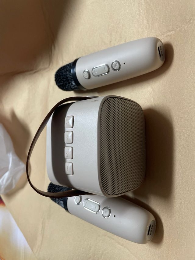 Karaoke Inalámbrico con Micrófonos