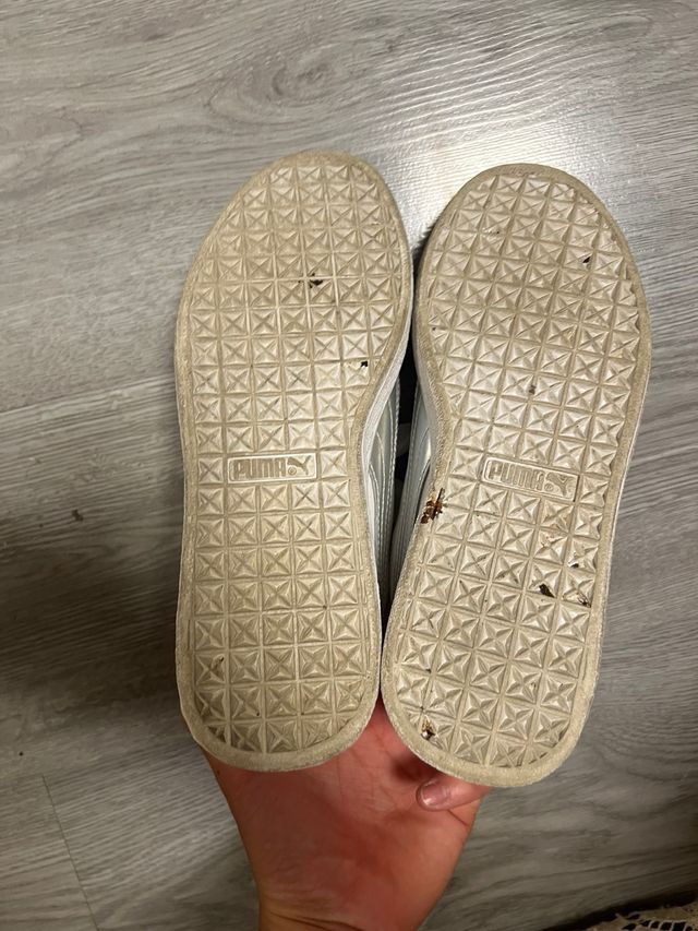 Zapatillas Puma Blancas y Plateadas