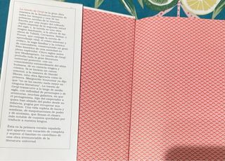 La novela de Genji. Esplendor (Áncora & Delfin)