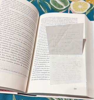 La novela de Genji. Esplendor (Áncora & Delfin)