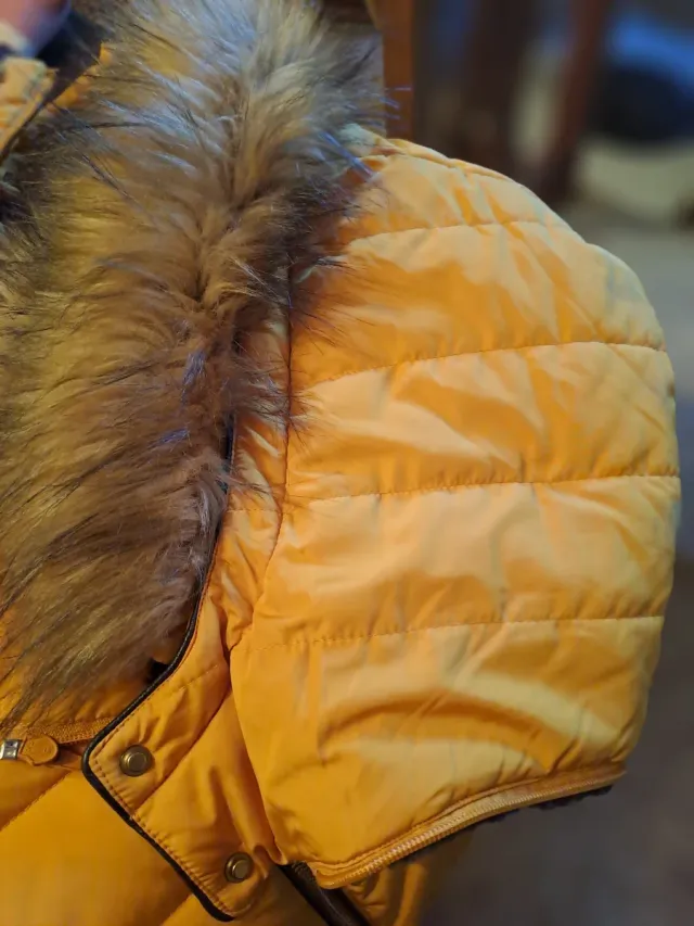 Chaqueta Zara Basic Amarilla