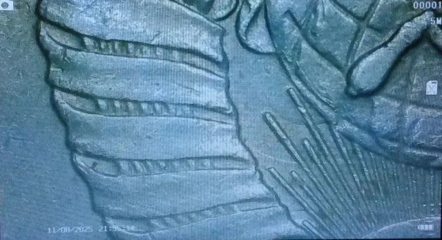 Moneta Unione Sovietica 20k con errore