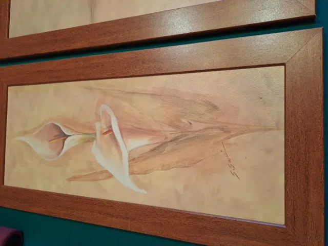 Set 3 Cuadros Flores Lirios