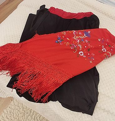 Falda flamenca y mantón bordado