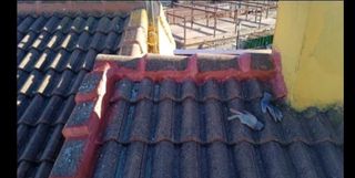 Facturas de construcción