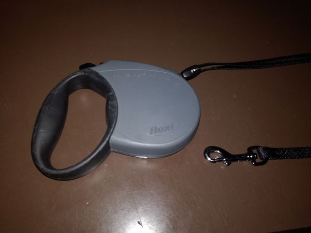 Correa retráctil Flexi para perro