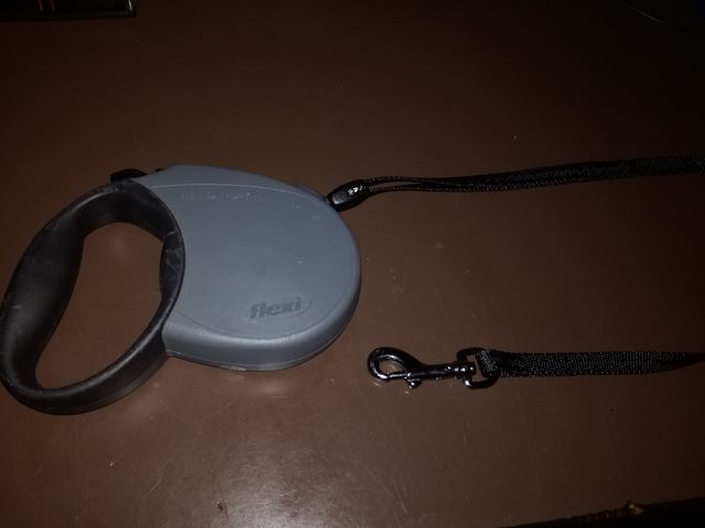 Correa retráctil Flexi para perro