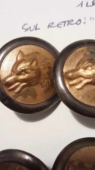 Antichi bottoni caccia, set di 10