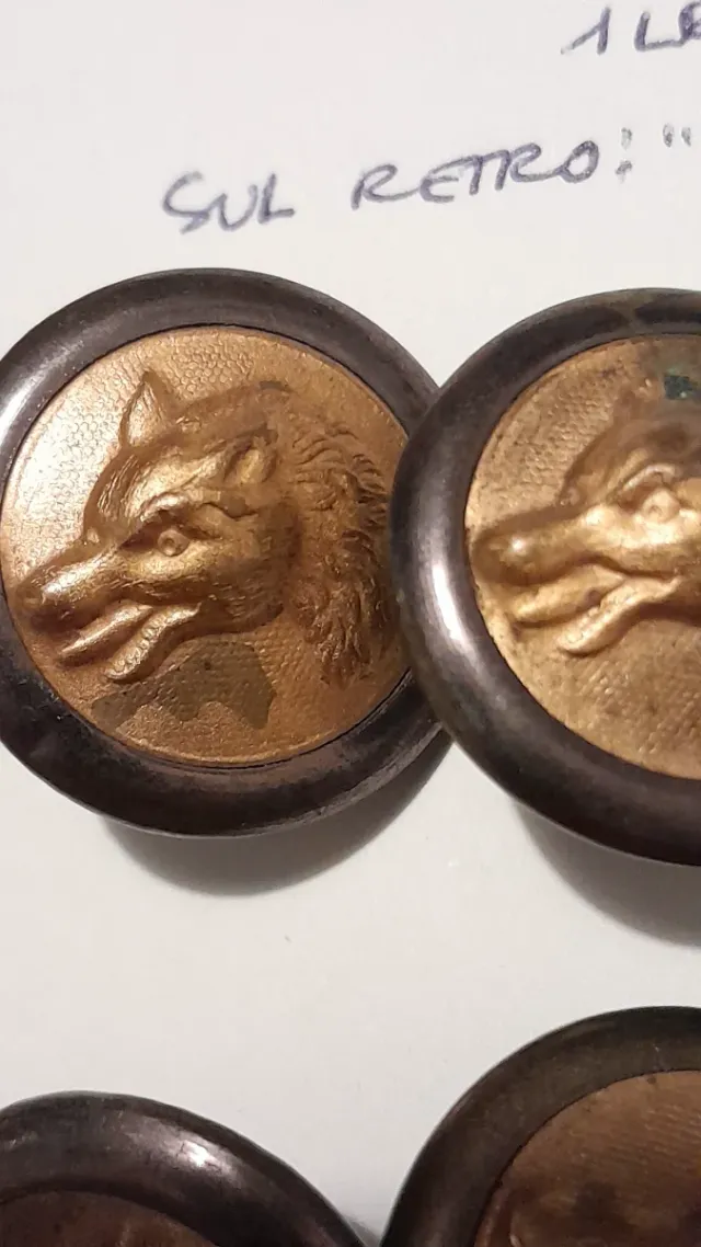 Antichi bottoni caccia, set di 10