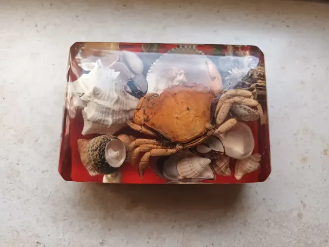 Pisa papéis vintage e raro- feito à mão