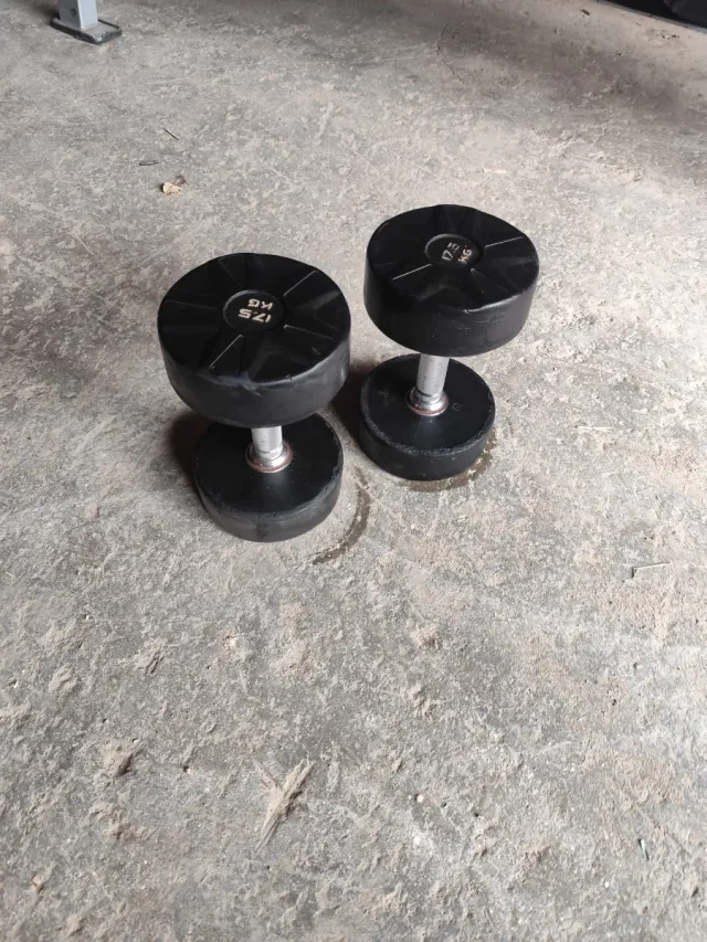 Mancuernas 17.5 KG (Par)