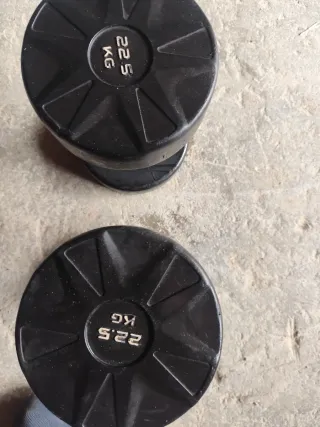 Mancuernas de caucho 22.5 kg